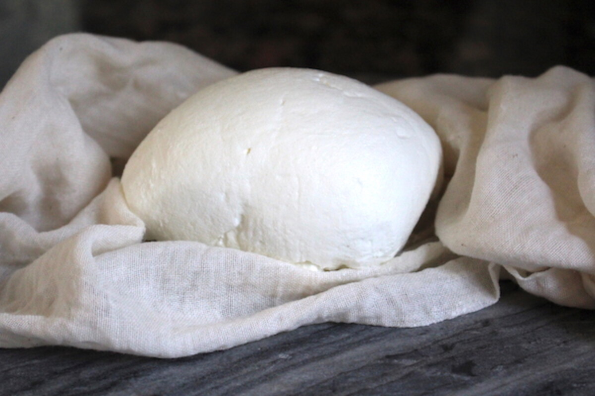 Homemade Yogurt Cheese