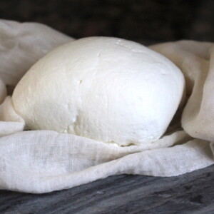 Homemade Yogurt Cheese
