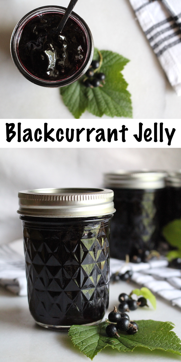 Blackcurrant Jelly ~ This easy homemade jelly only has two ingredients (Black currants and sugar). No pectin required, and safe for canning. #canning #foodpreservation #preservingfood #homestead #selfreliant #selfsufficiency #homesteading #blackcurrant #blackcurrantrecipes