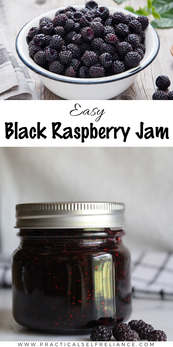 Black Raspberry Jam Recipe without Pectin ~ This easy homemade blackberry jam recipe works with wild or cultivated black raspberries, and is made without store-bought pectin. #canning #preserving #jam #blackraspberry