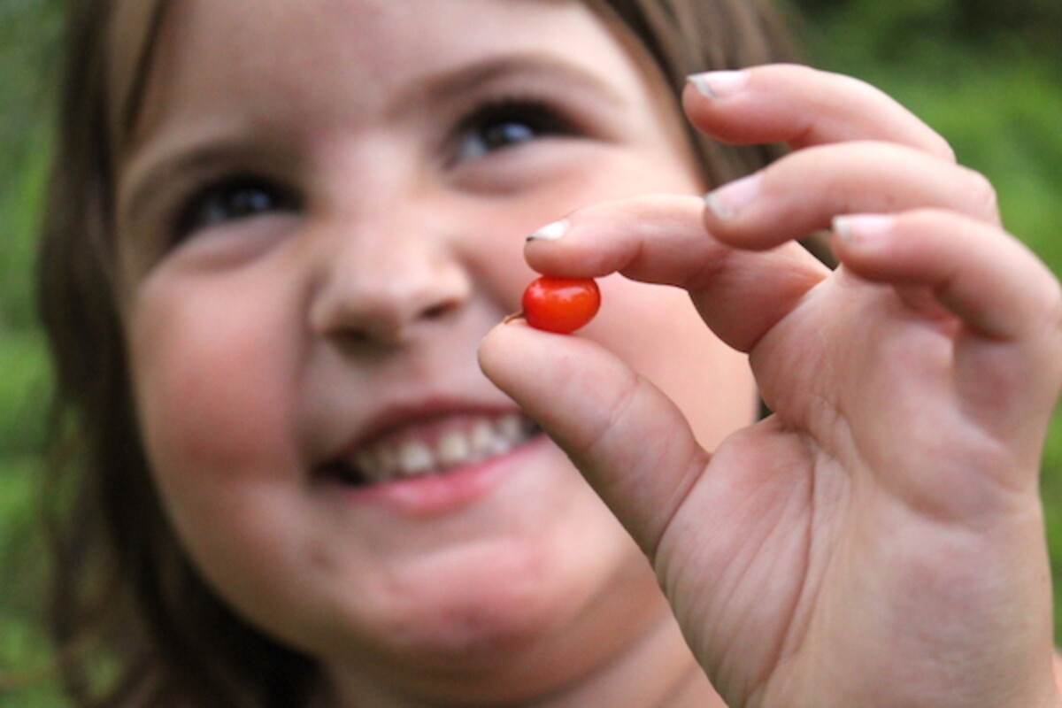 Child smiling while holding edible berry, specifically orange fruits of sea buckthorn