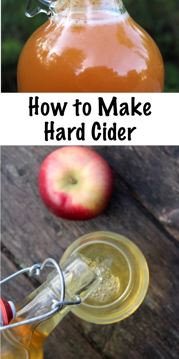 How to Make Hard Cider ~ Homemade hard cider is easier than you think! Starting with home pressed apples or storebought juice, learn how to make homemade hard cider with minimal equipment and no experience. This beginners guide has everything you need for your first batch of hard cider. #cider #hardcider #recipe #fermenting #winemaking #brewing #homebrewing #homebrew #beverages #homemade #fermented #fermenteddrink