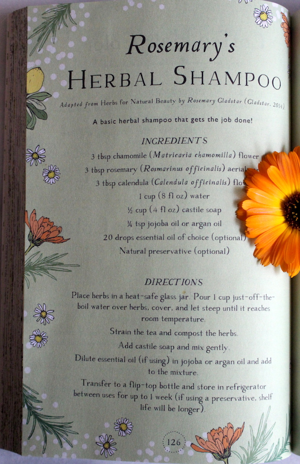 Rosemary Gladstars Herbal Shampoo Recipe