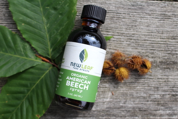 Beech syrup from new leaf tree syrups