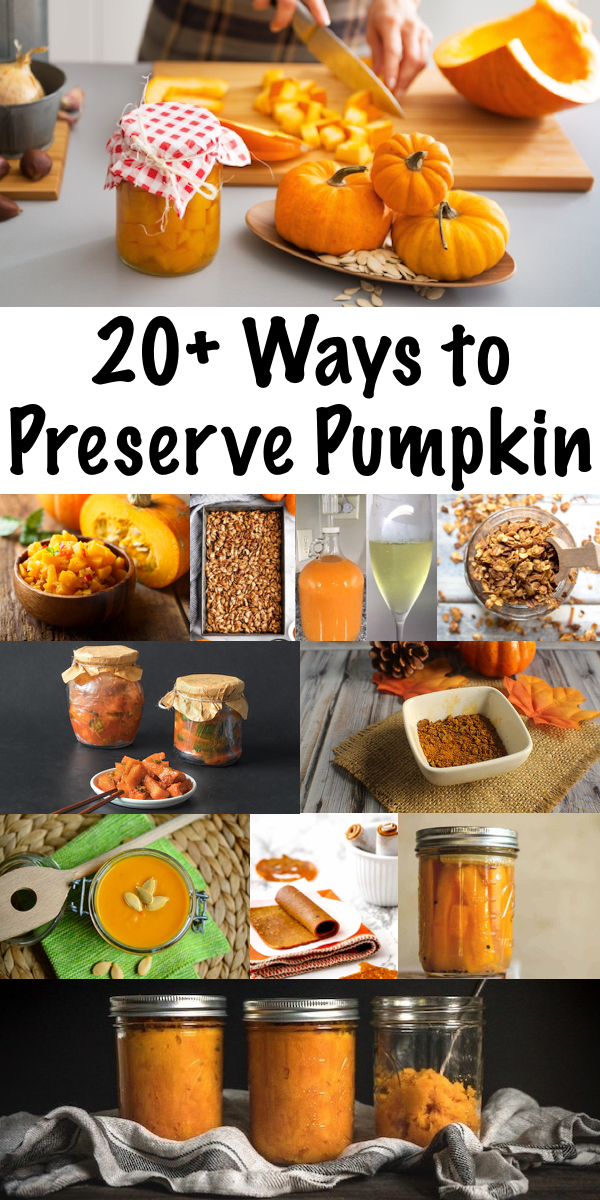 20 Ways to Preserve Pumpkin ~ Don't let your pumpkins spoil! There are so many ways to pumpkin preservation methods, both historical and modern. Whether you've harvested the pumpkin fresh from the garden, or you're looking for a way to use a jack-o-lantern after halloween, there are plenty of pumpkin preservation methods for any kitchen. #pumpkin #pumpkinrecipes #foodpreservation #autumn #fall