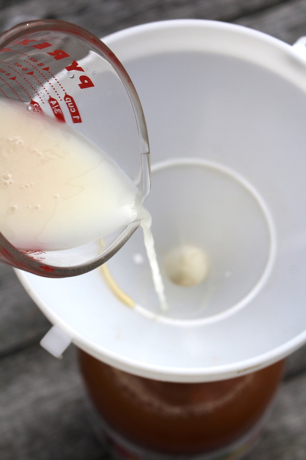 Adding dissolved wine yeast to apple juice to start the fermentation in this homemade apple wine recipe.
