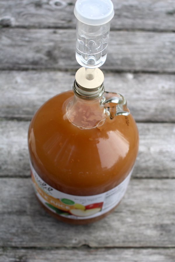 Apple Wine with Water Lock