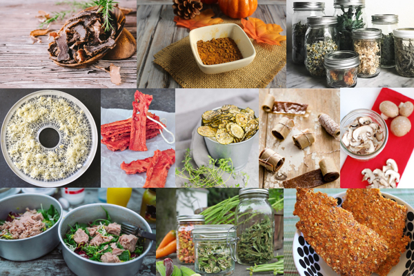 Collage of healthy food dehydrator recipes