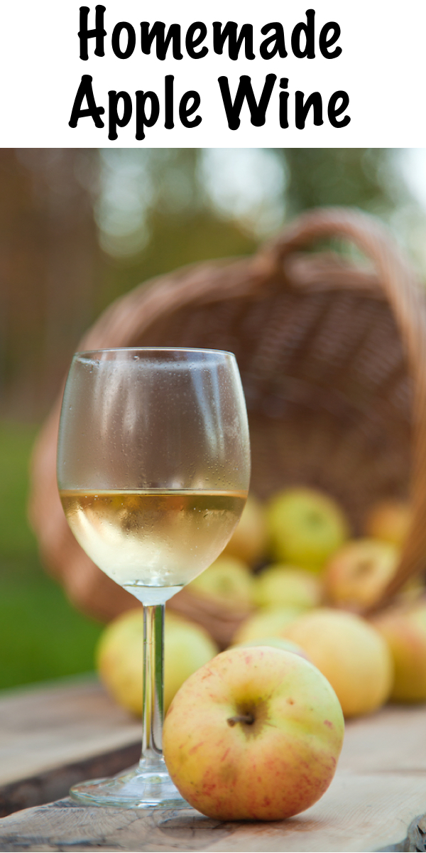 Homemade Apple Wine ~ Apple wine is easy to make at home with fresh pressed or store-bought juice. Just a small amount of equipment and you'll be well on your way to home winemaking! #fermenting #wine #apples #winemaking