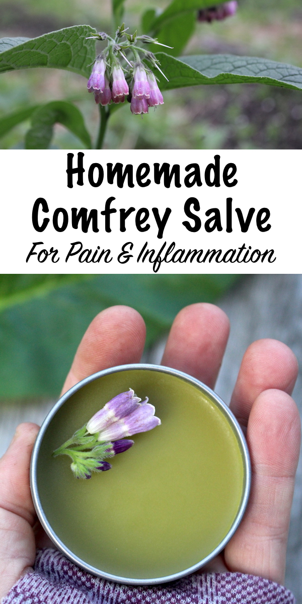 Homemade Comfrey Salve for Pain and Inflammation ~ Comfrey is a natural herbal pain reliever, and it's effects are confirmed by a number of peer reviewed studies. I use mine as a natural treatment for low back pain. Learn how to make your own comfrey salve at home. #herbs #herbalism #herbgarden #herbalremedies