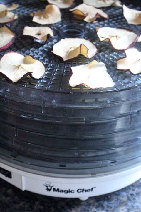 Inexpensive food dehydrator with stacking trays.