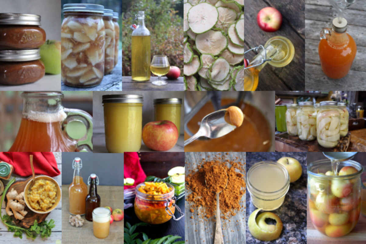 Ways to Preserve Apples ~ Collage of Apple Preservation Techniques