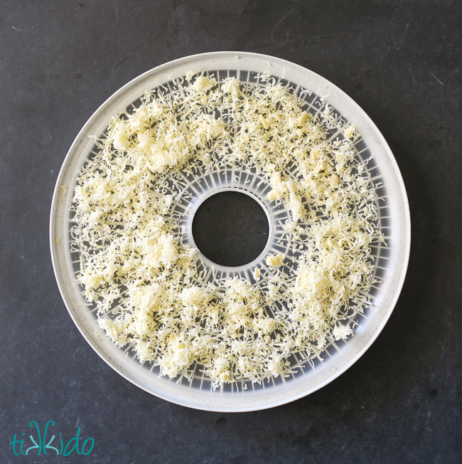 Cheese ready for dehydrating in a food dehydator