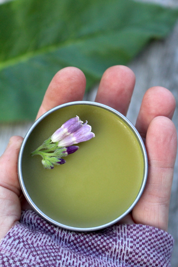 How To Make Comfrey Salve (and Why You Should!)