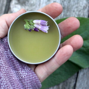 My own homemade comfrey salve for back pain.