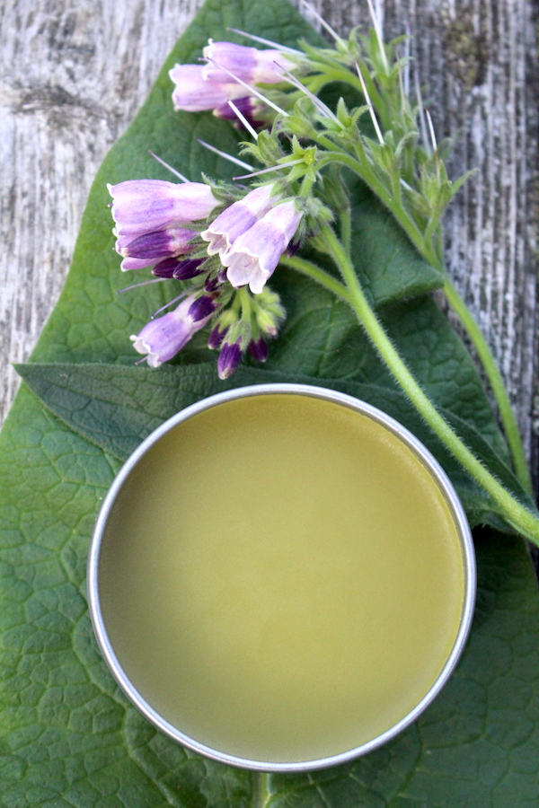 Comfrey salve has been shown to be an effective herbal pain reliever when applied topically.