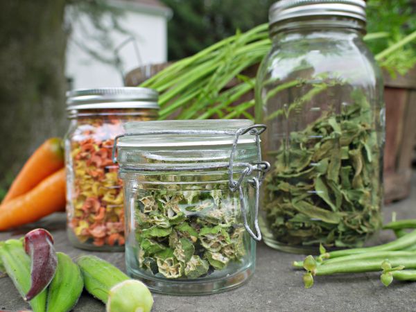 Jars of dehydrated food ready for storage after time in a food dehydrator
