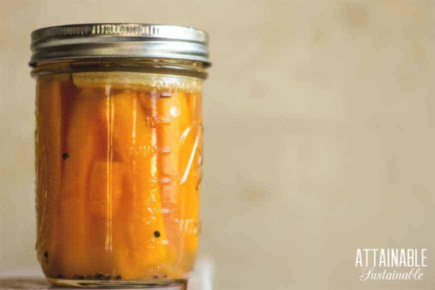 Lacto-fermented pumpkin (Image Courtesy of Attainable Sustainable)
