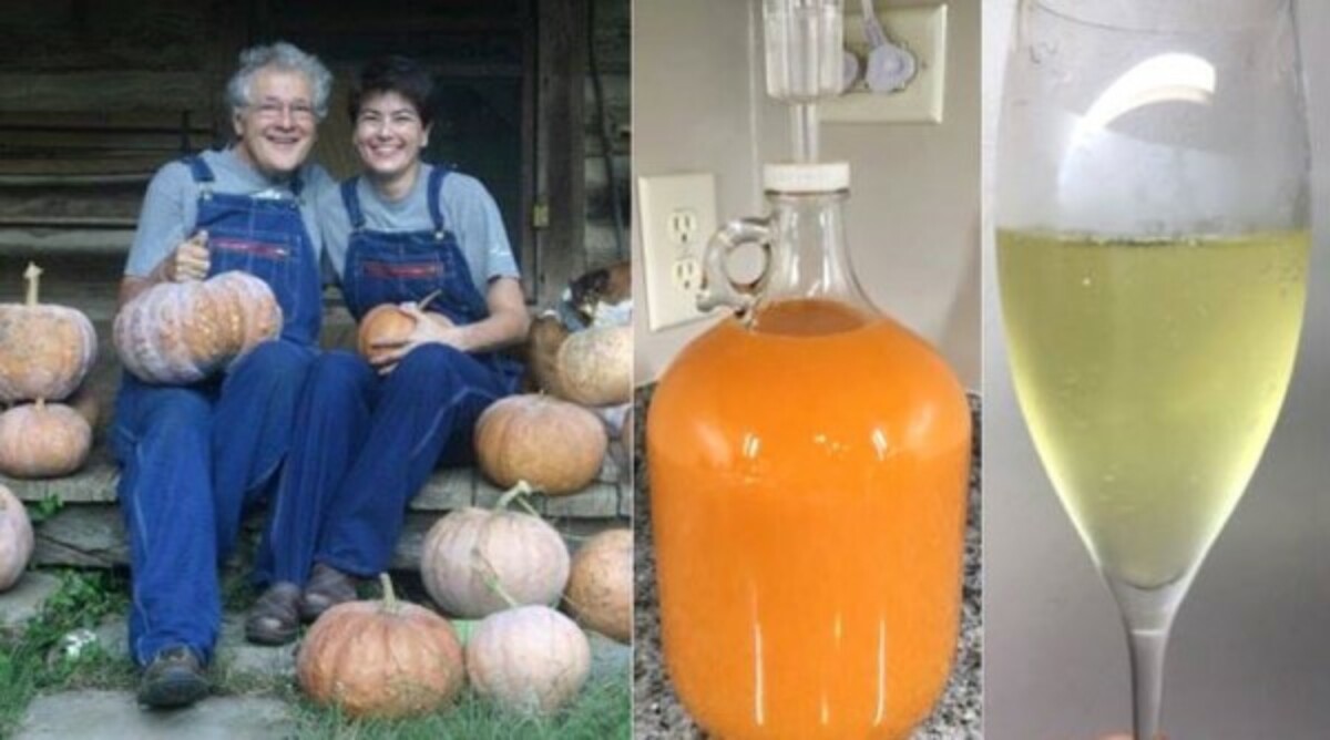 Homemade pumpkin champagne recipe