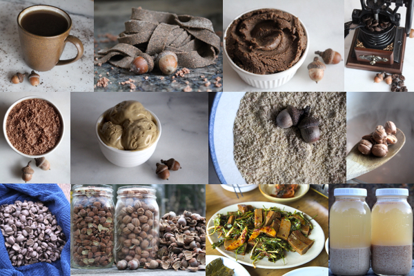 Eating Acorns ~ Acorn Recipes from Around the World