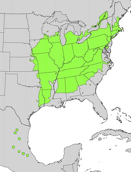 Shagbark Hickory Range Map