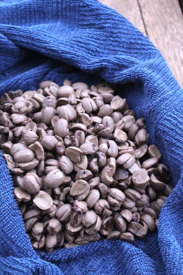 Hot processed acorns with skins removed