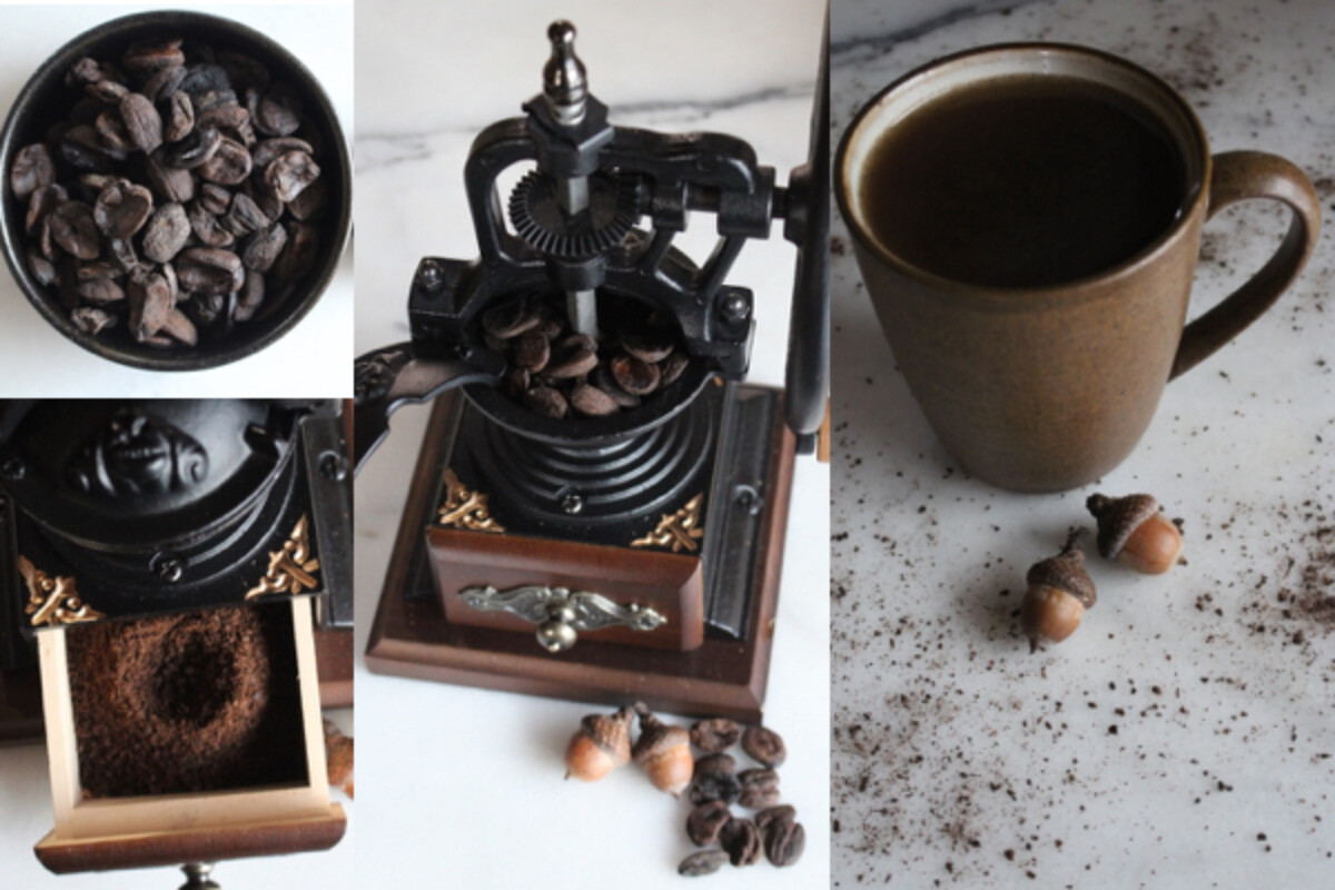 Making Acorn Coffee from acorns first leached then roasted and ground