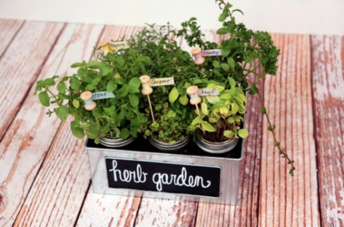 kitchen herb garden