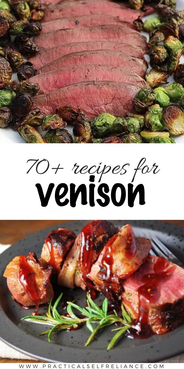 Venison Recipes Pin
