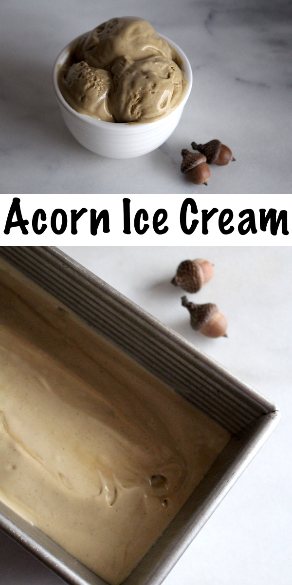 Acorn Ice Cream ~ Roasted acorns have long been used as a coffee substitute, and they make an exceptional wild foraged ice cream!
