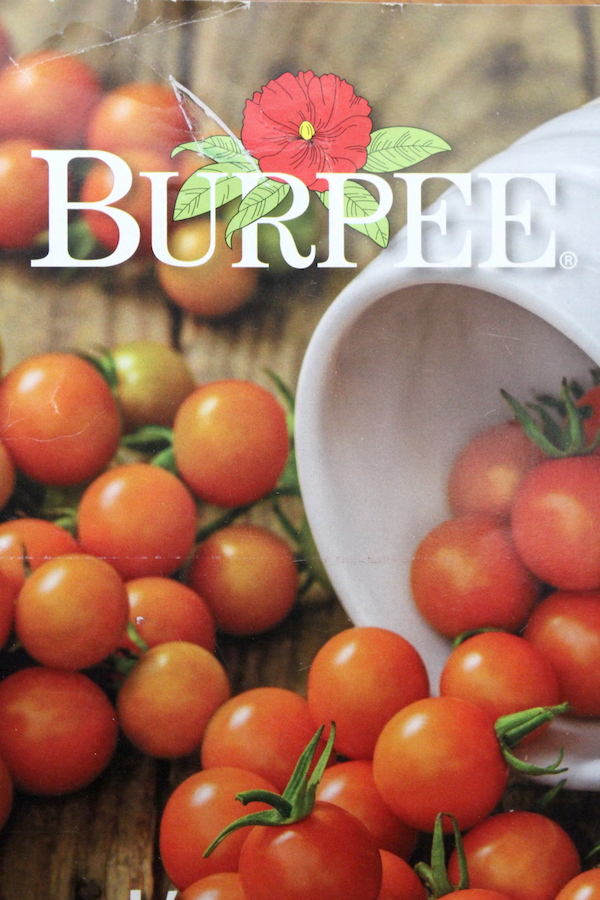 Burpee Seed Catalog