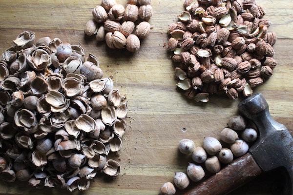 Cracking Acorns