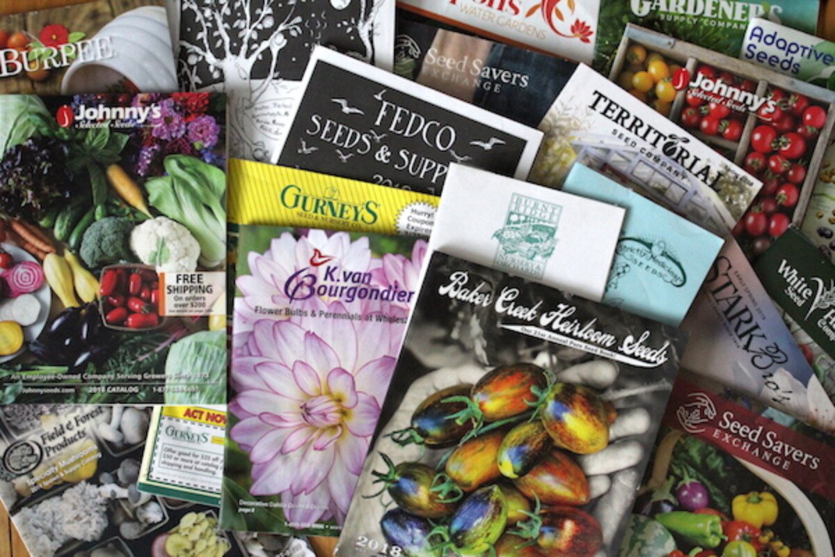 Free Seed Catalogs