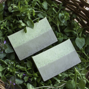 Gardeners Soap with Spring Weeds from Easy Melt and Pour Soaps