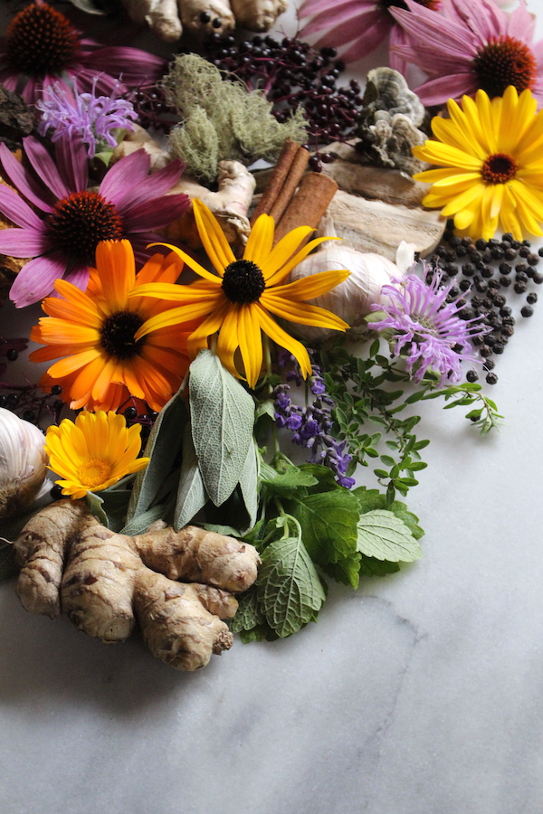 Immune Boosting Herbs