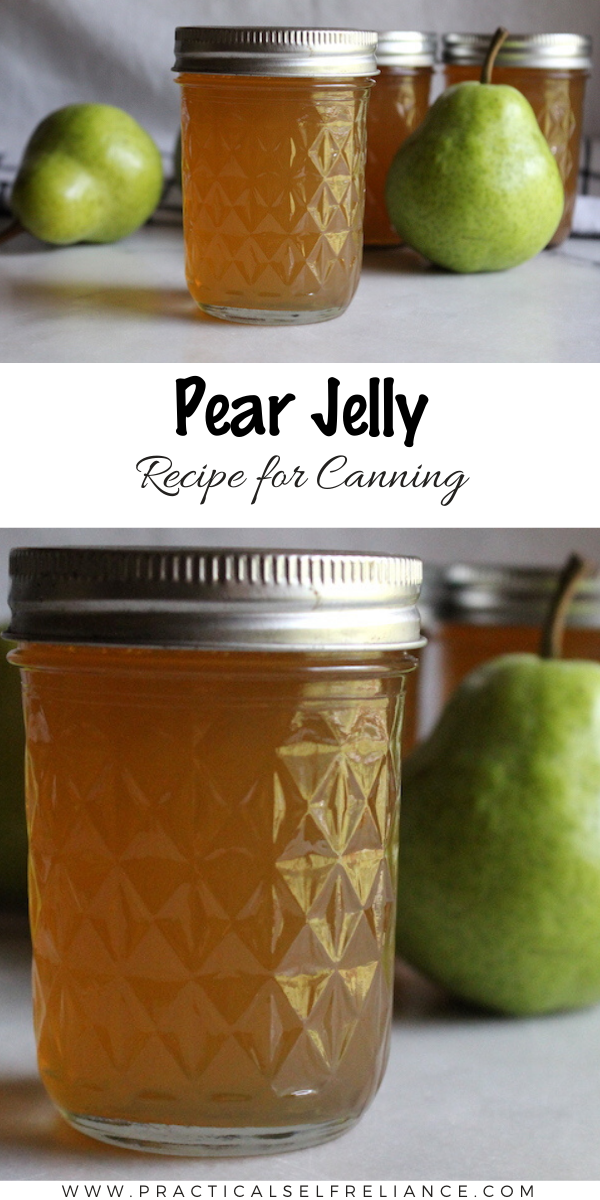 Pear Jelly Recipe for Canning ~ This easy pear jelly recipe preserves all the flavor of fall into a spreadable homemade jelly. Start with either pear juice or whole pears and make your own delicious pear preserves. #canning #jam #preserving