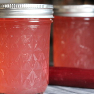 Rhubarb Jelly