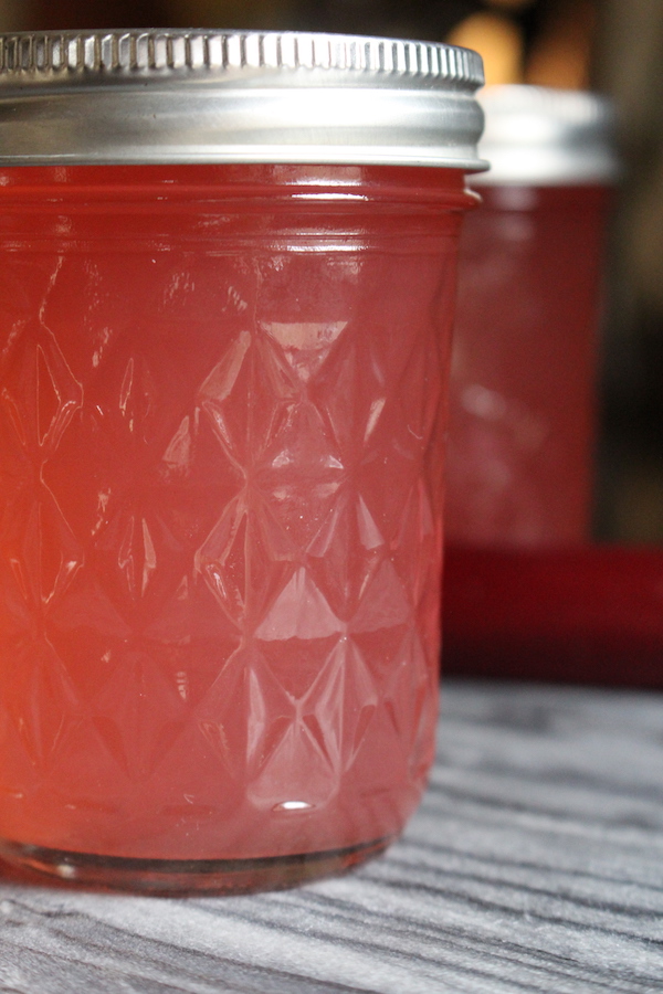 Rhubarb Jelly