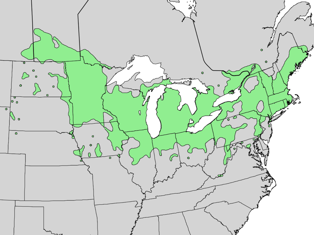 Viburnum lentago Range Map