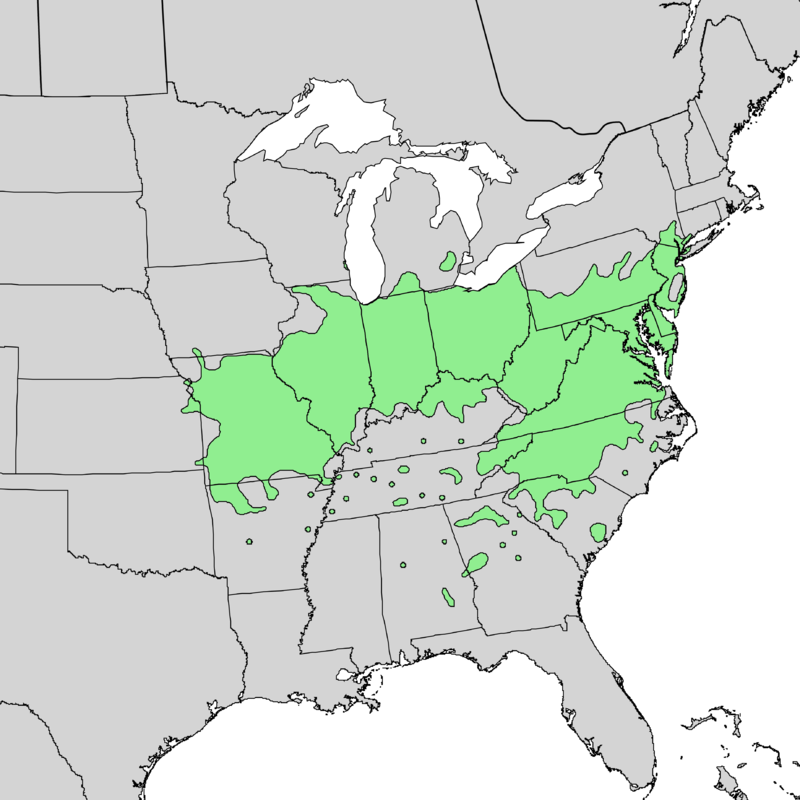 Blackhaw (Viburnum prunifolium) range map