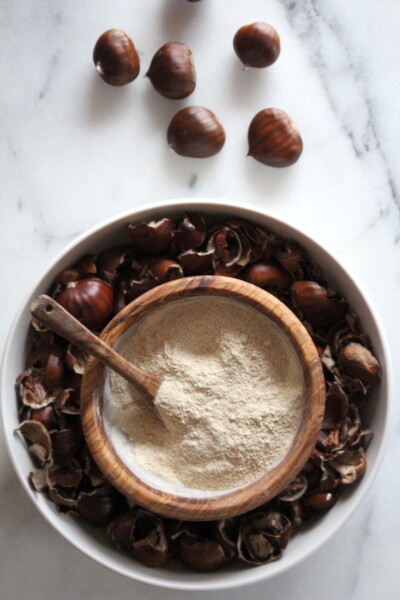 Foraging Chestnuts (Castanea spp.) — Practical Self Reliance
