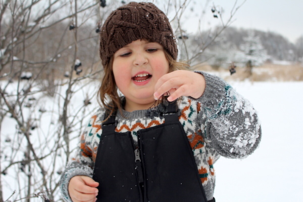 child eating nannyberries