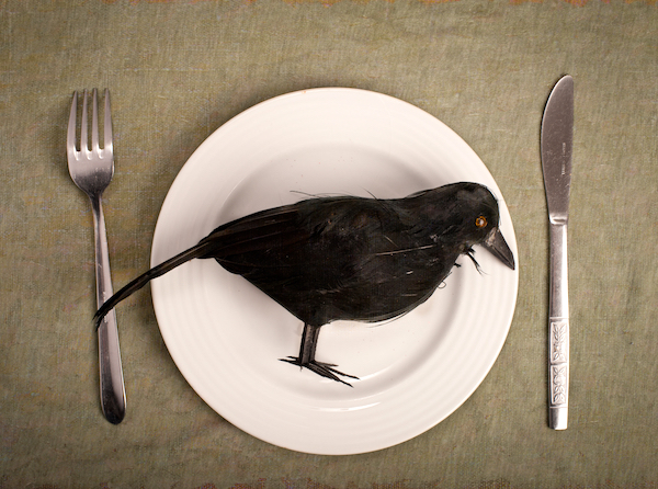 eating-crow.jpg?is-pending-load=1