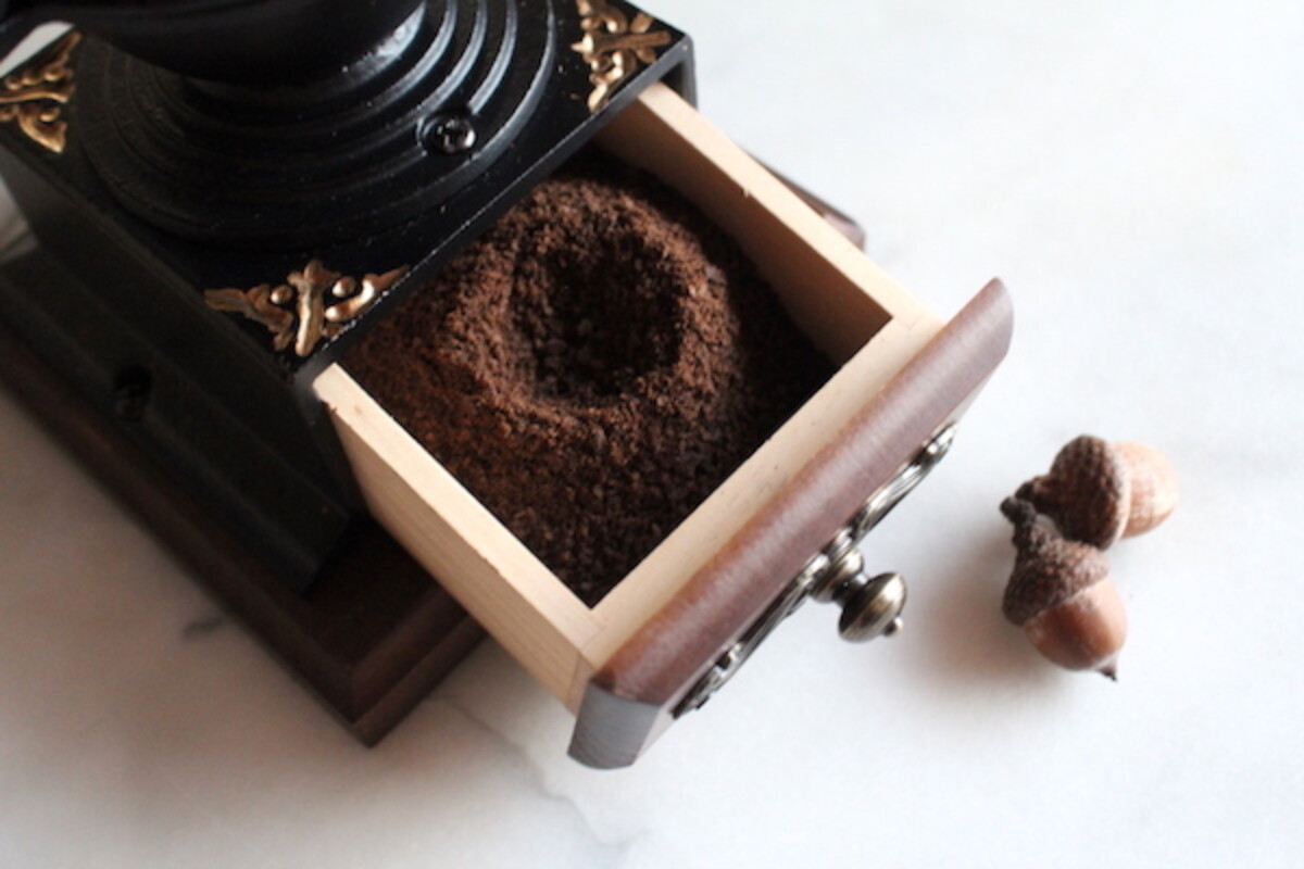 Acorn coffee in coffee grinder
