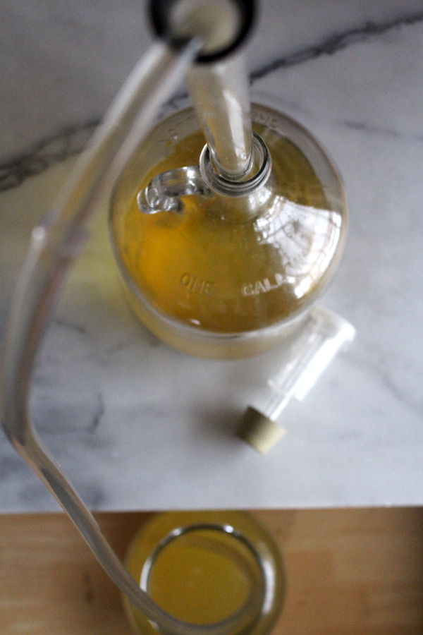 Racking Mead or Wine