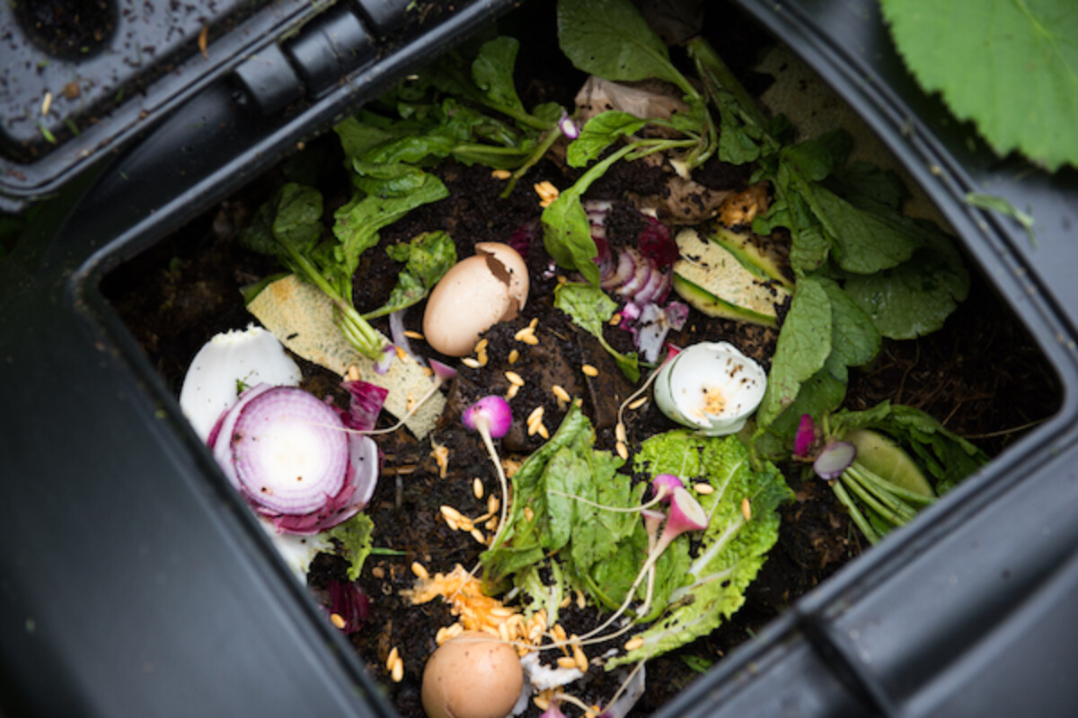 Composting coffee grounds is the simplest way to use coffee grounds in the garden