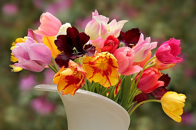 Cut Flowers