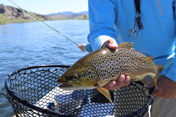Fishing