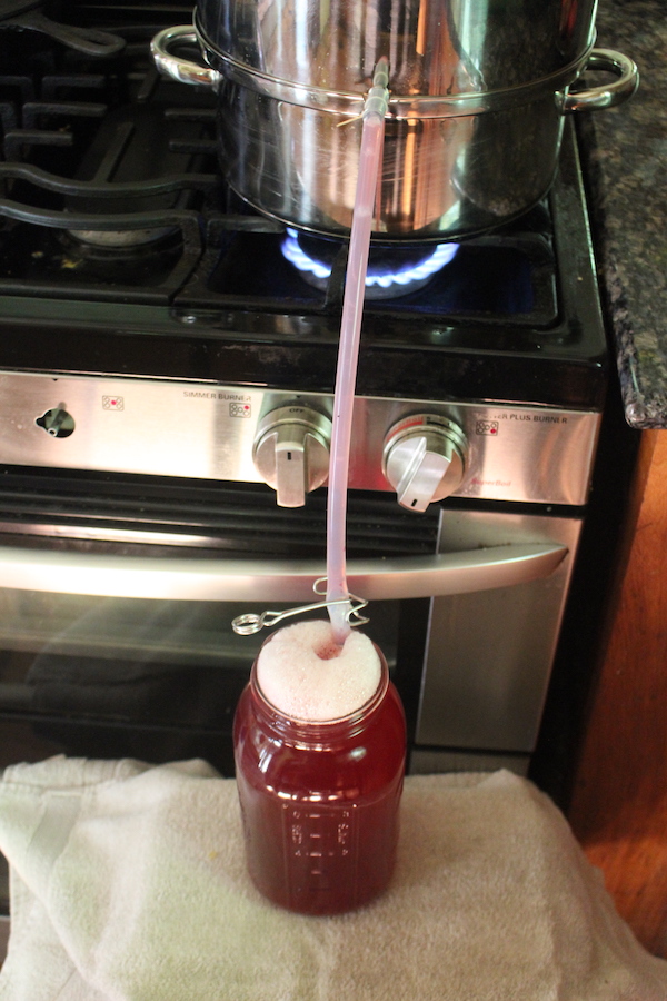 Extracting Cherry Juice with a Steam Juicer