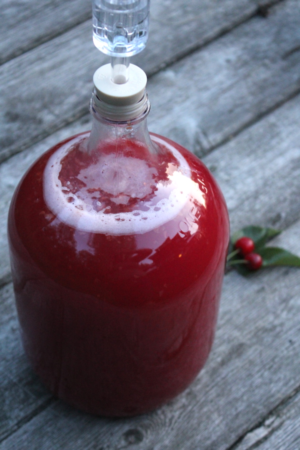 Homemade Cherry Wine